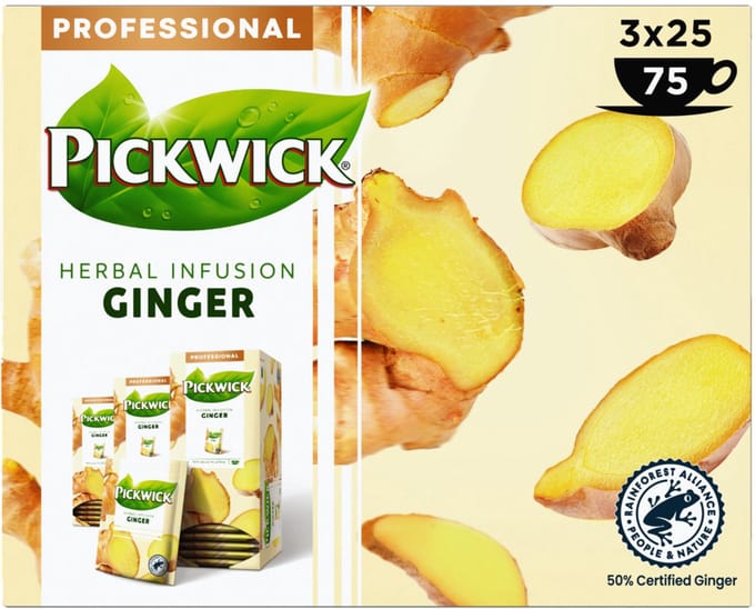 Thee pickwick ginger 25x1.5gr | 3 stuks