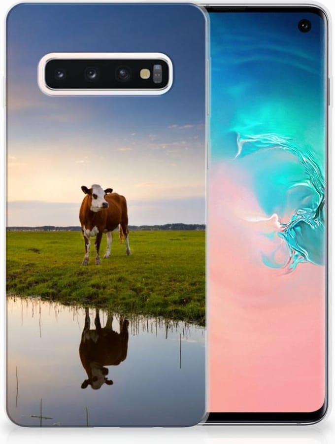 Samsung Galaxy S10 TPU Hoesje Koe