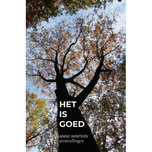 Het Is Goed - Anne Winters