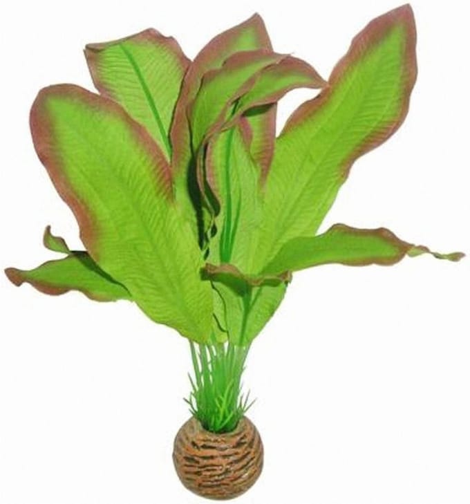 Superfish easy plants hoog nr. 9, van zijde 20 cm - 1 ST