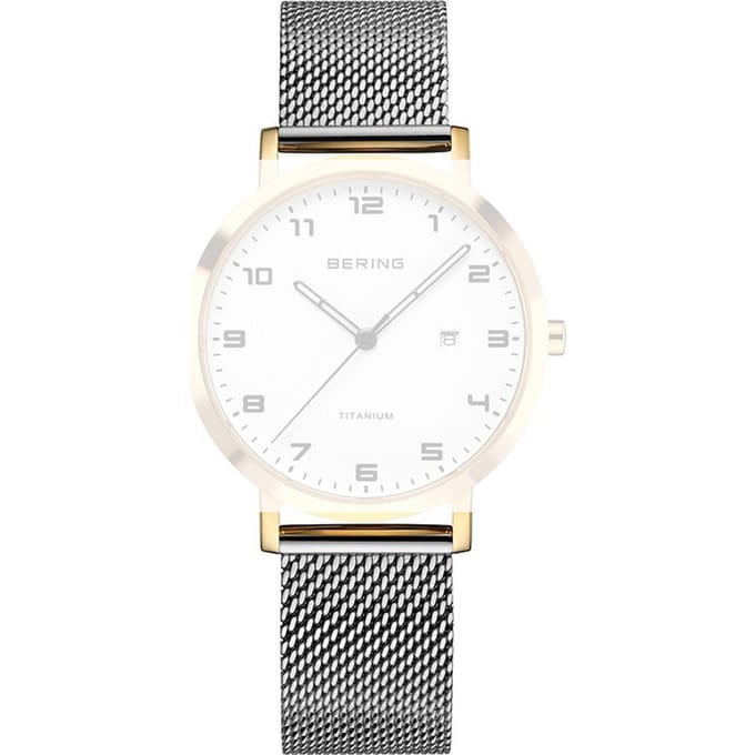 Bering PT-A18634S-BMCX Titanium band