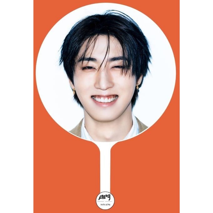 Stray Kids × ApopGong(DIT & DAT)exclusieve IMAGE PICKET A versie HAN