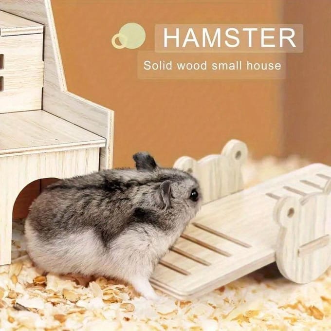 1 st Hamsterspeeltjes, Verstophuisje Schommel Wipplank Trainingsspeeltjes, Geschikt Voor Renmuizen, Muizen, Dwerghamsters white