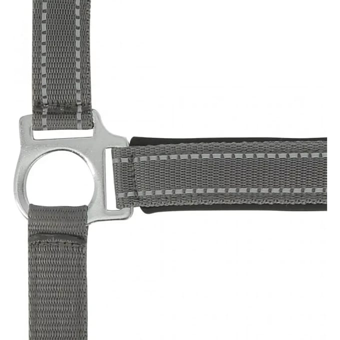 Halster voor paarden Norton Reflective