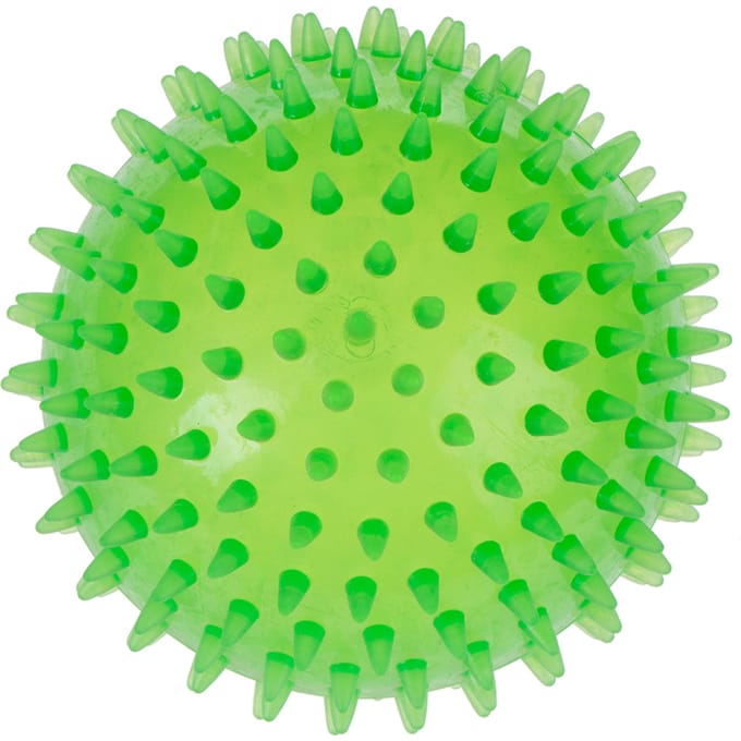 2 Stuks TPR Spiky Bal Large Hondenspeelgoed