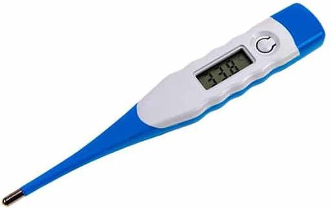 Romed Holland - Digitale Staafthermometer - 1 stuk