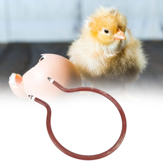 Broedmachineverwarming Circulair verwarmingselement Broedmachineaccessoires (300W Kleine Circulaire) brown
