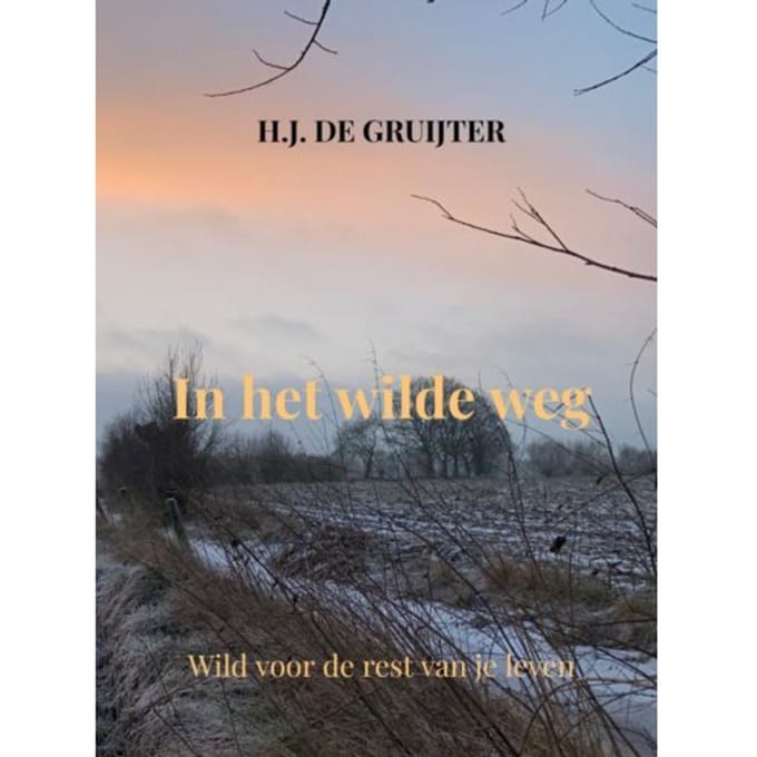 In Het Wilde Weg - H.J. de Gruijter