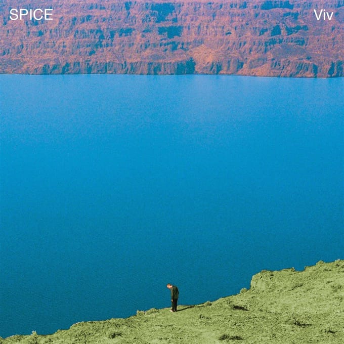 Spice - Viv (LP)