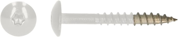 PGB-FASTENERS | HPL schroef Tx20 4,8x38 R9016 A4