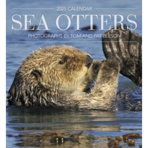 Sea Otters - Leeson, Tom