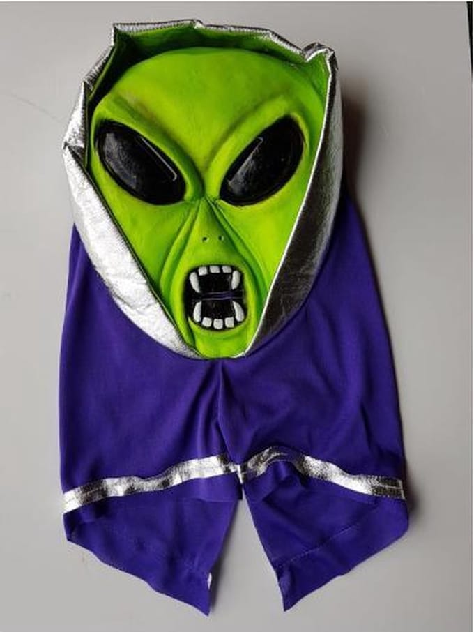 Halloween Masker Alien | Buitenaards Wezen