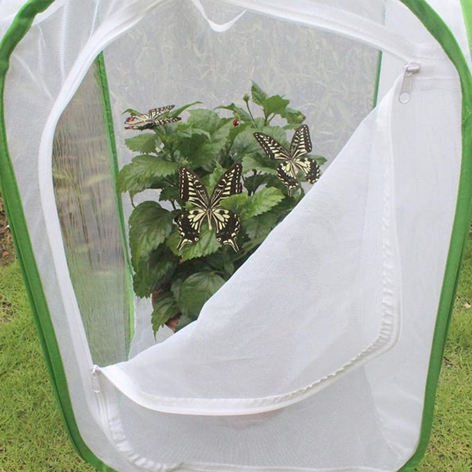 Opvouwbare Inklapbare Geventileerde Insectenkooi Lichtdoorlatende Mesh Kooi Rits Plantenhuis wit