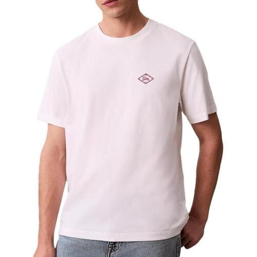 T-shirt Korte Mouw Calvin Klein Jeans Matchb