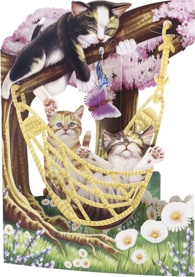Santoro 3D Swing Cards Katten in een hangmat