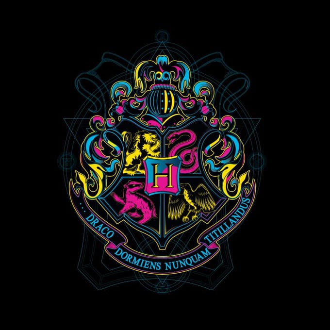 Harry Potter Hogwarts Neon Crest t-shirt - Zwart - M