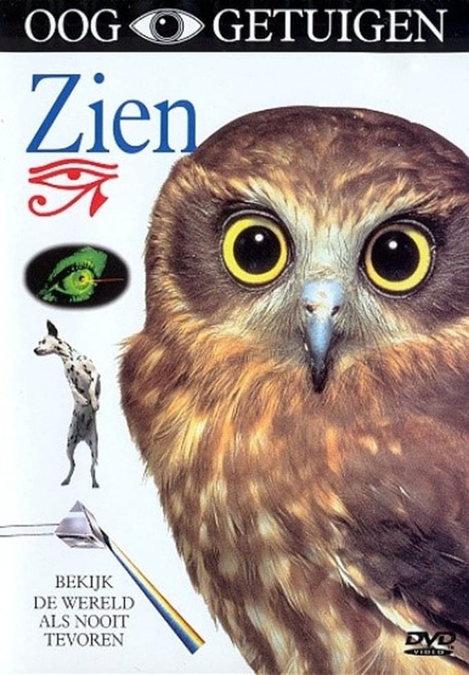 Ooggetuigen - Zien (DVD)