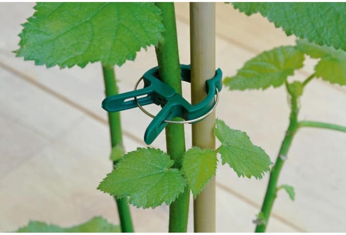 Plantenclips 20pc