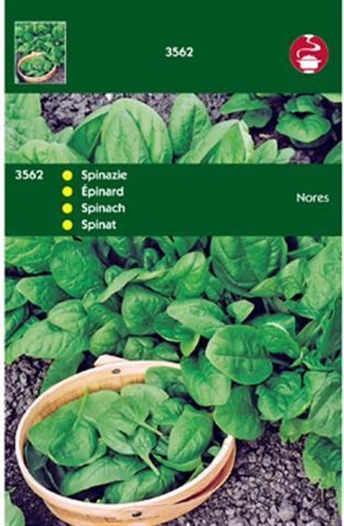 Hortitops Zaden - Spinazie Nores (Type Viking)