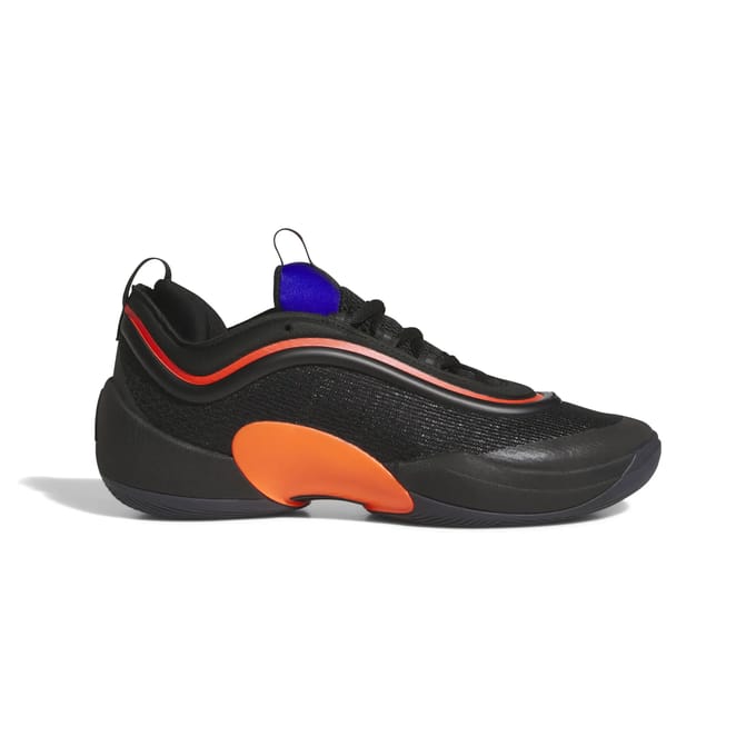Basketbalschoenen adidas D.O.N. Issue 5