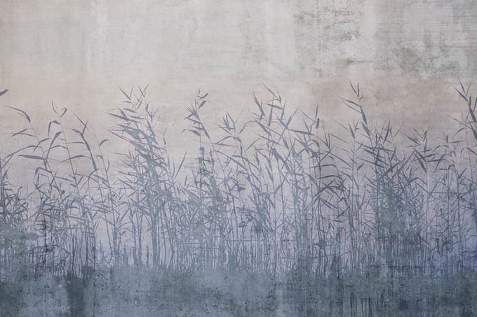 Fotobehang - Field Abstract 375x250cm - Vliesbehang
