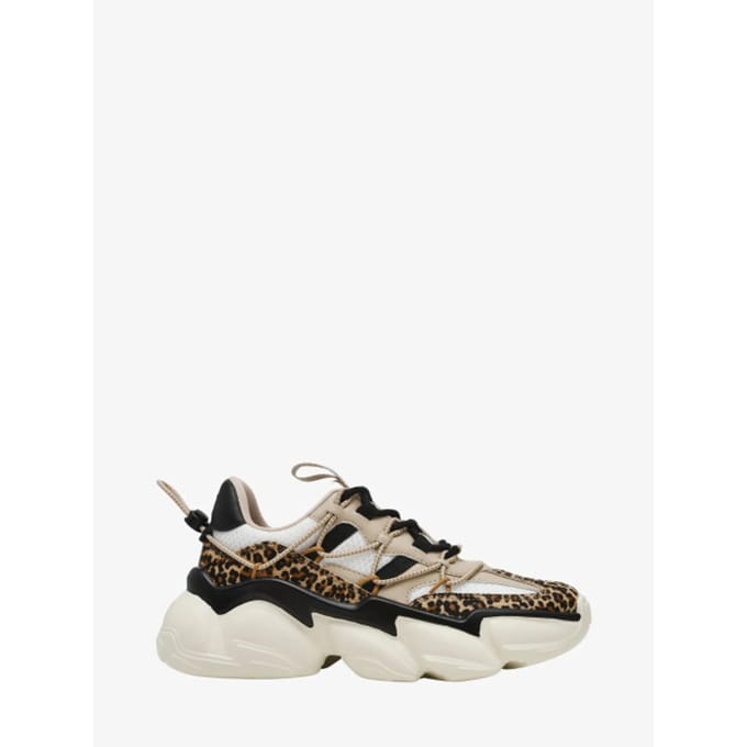 Steve Madden Dames sneakers spectator-l leopard multi