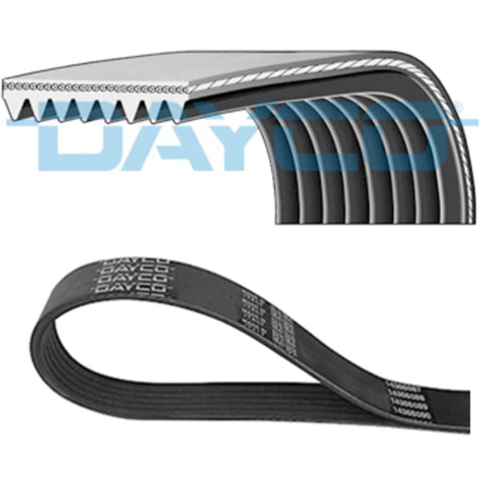 V-riem DAYCO 8PK1285HD