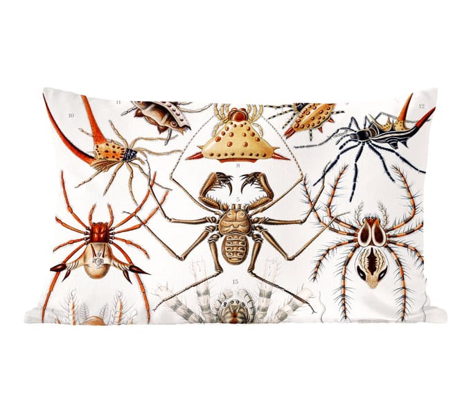 Sierkussens - Kussentjes Woonkamer - 60x40 cm - Retro - Spin - Ernst Haeckel - Spinnen