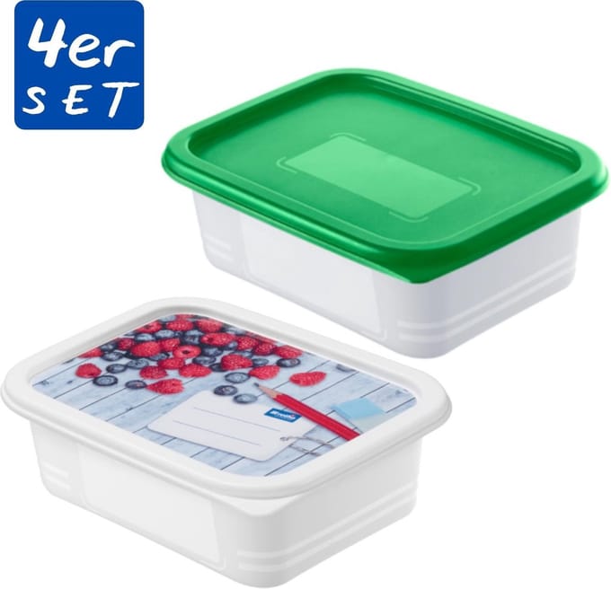 Rotho Domino Diepvriesdozen Etiket Decor 4x0.5L Wit