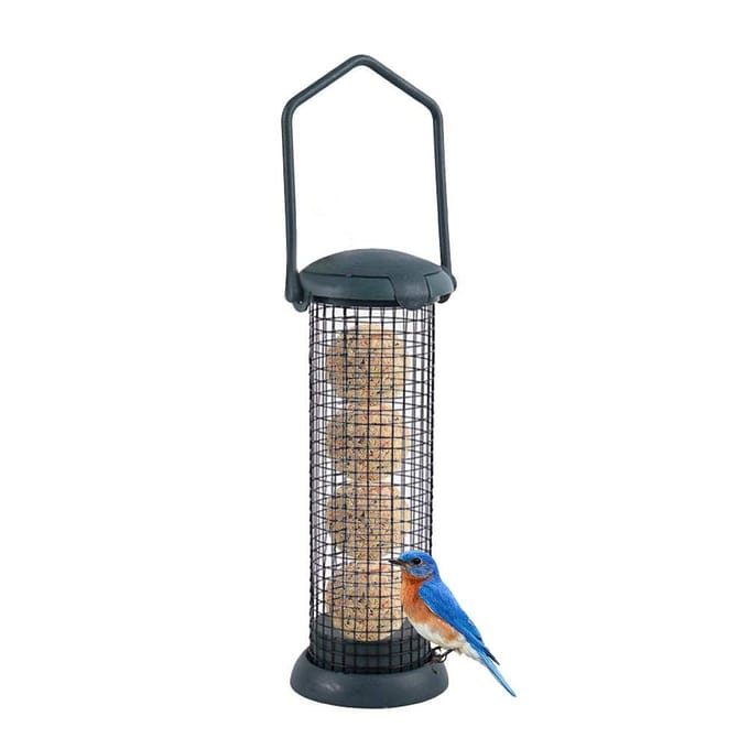 Mangeoire pour oiseaux en plein air, boule de graisse, distributeur de nourriture, mangeoire suspendue pour oiseaux sauvages vert foncé