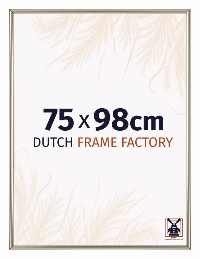 Fotolijst 75x98 cm - Kunststof - Champagne - Angers