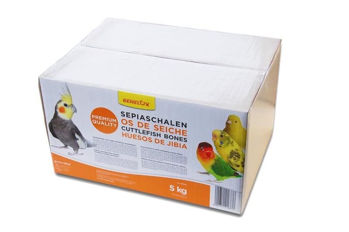 Premium Sepiaschelpen 12-20cm