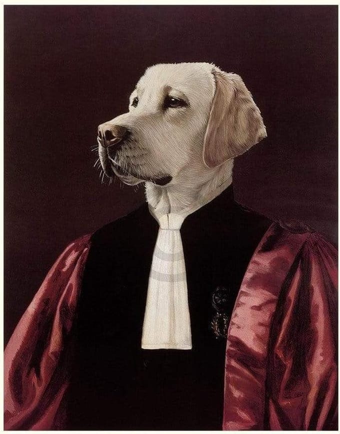 Kunstdruk Thierry Poncelet - The Advocate 66x86cm