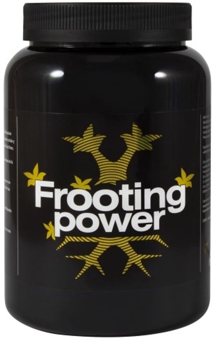 BAC FROOTING POWER (1 KILO)