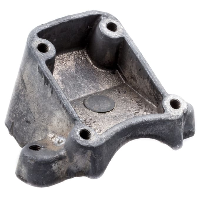 Adapter (bosmaaier)