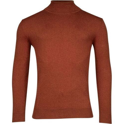 Baileys Trui Pima Cotton Uni Color Single Knit Rollneck Deep Orange / male