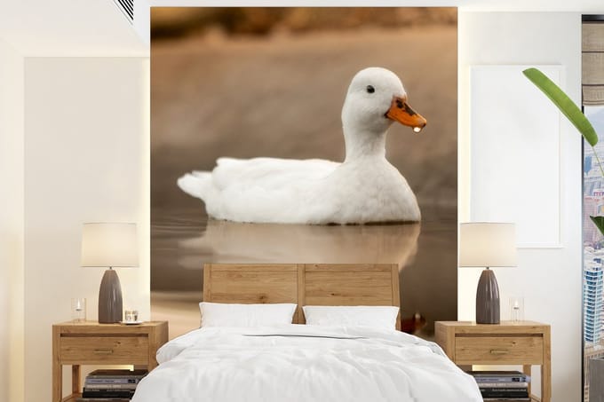 Behang - Fotobehang Eend - Vogel - Water - Wit - Breedte 195 cm x hoogte 260 cm