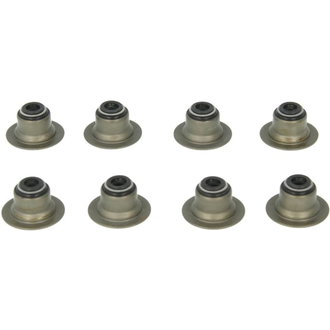 Klep afdichtingsset-PAYEN HR656