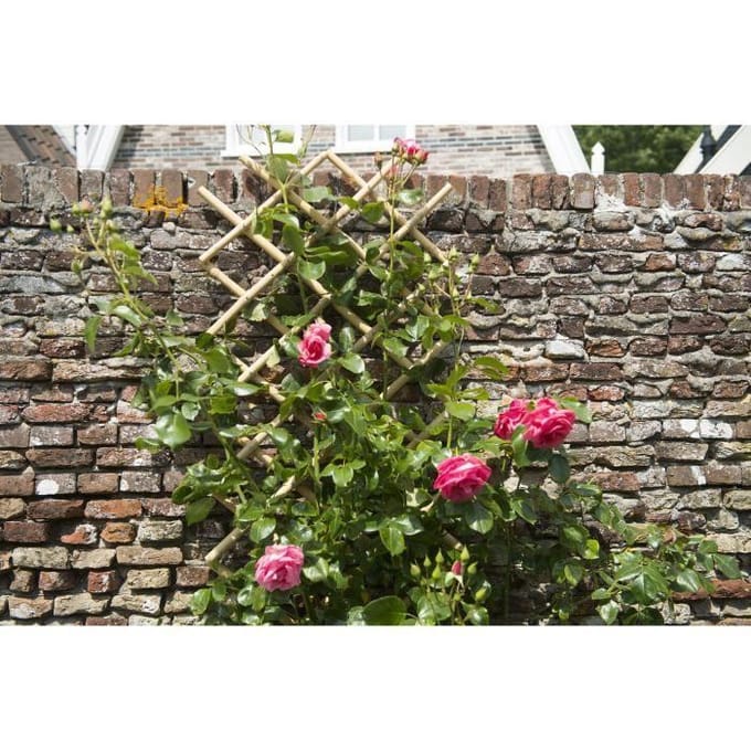 Nature - Bamboe klimrek (rekbaar) - 45cm x 1,8m - Naturel