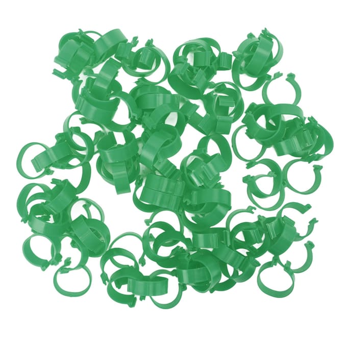 100 Stuks Pluimvee Voetring Open Type Gesp Kweek Kip Eend Gans Voetring Kip Accessoire 20mm / 0.8in groen