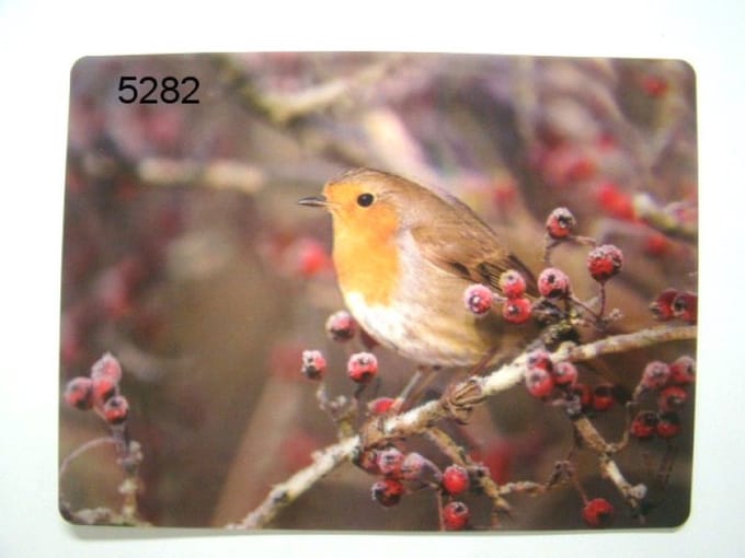 3D Placemat - Roodborstje - 29,5 x 39,5 cm - Diepte Effect - Tafelmat
