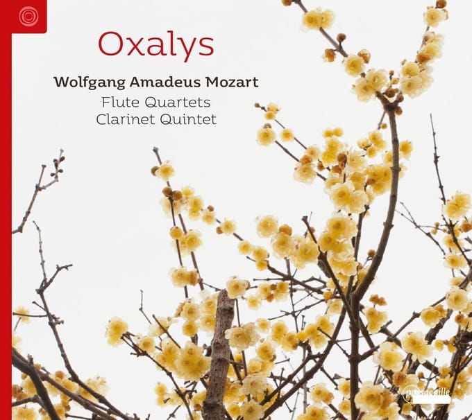 Oxalys - Wolfgang Amadeus Mozart: Flute Quartets | Clarinet Quintets (CD)