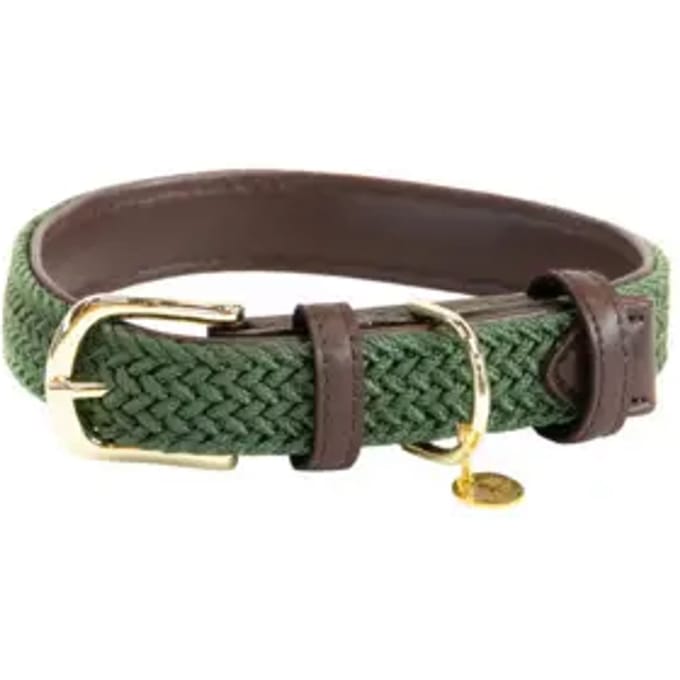 Gevlochten nylon hondenhalsband Kentucky