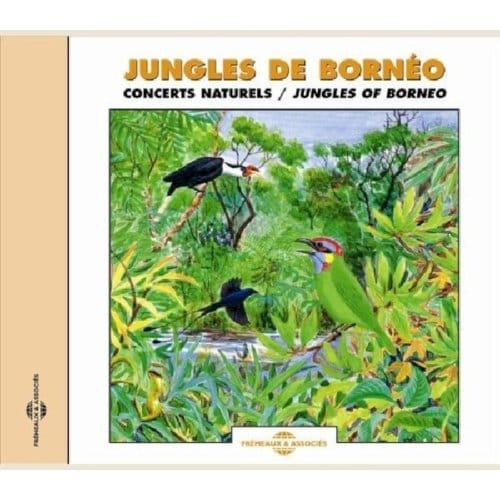 Jungles De Borneo. Concerts Naturels - Sons De La Nature