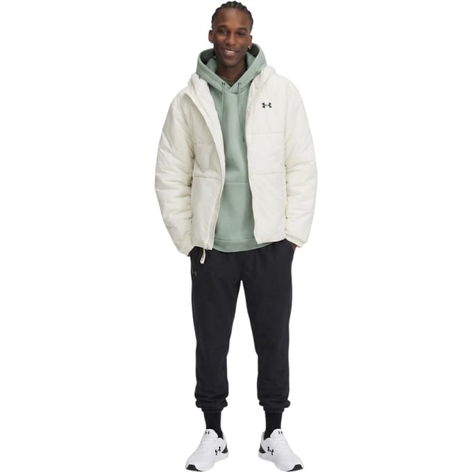 Under Armour Lichtgewicht herenpufferjack (Bruin)