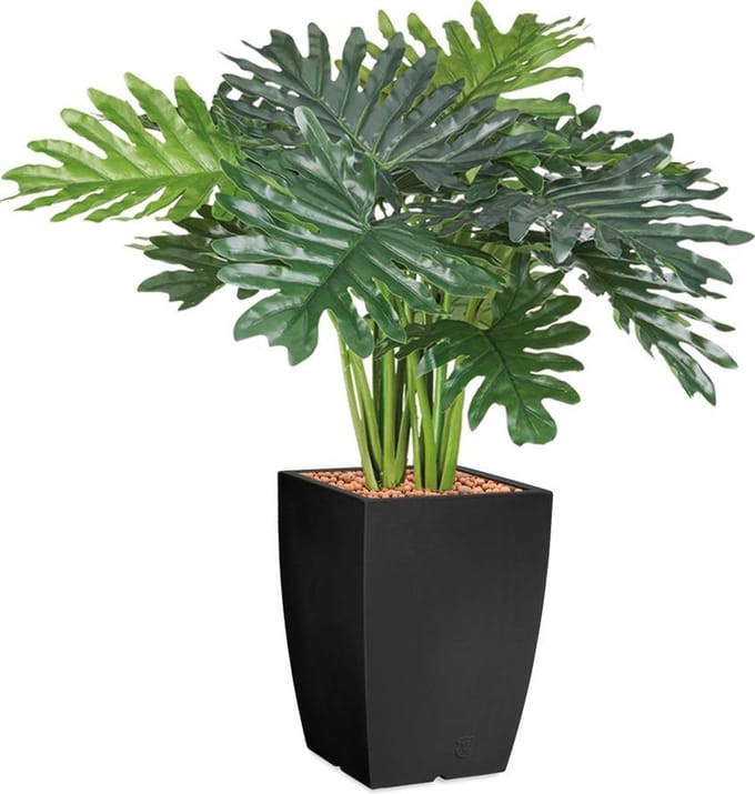 HTT - Kunstplant Philo Xanadu in Genesis vierkant antraciet H90 cm