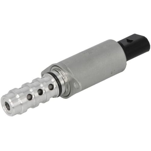 Centraleklep, nokkenasregeling MAGNETI MARELLI 132219000006