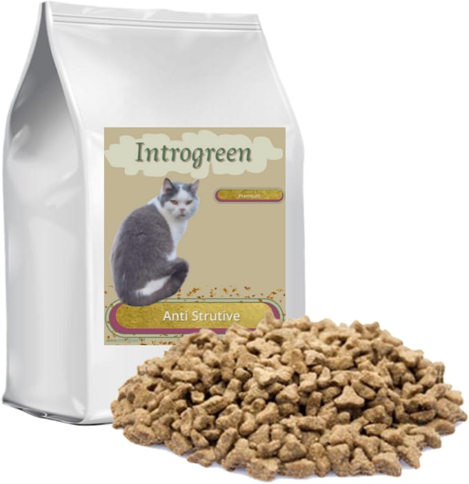 Premium Kat Anti-Struvite – Complete Dieetvoeding tegen Struvietstenen voor katten 2 Kg