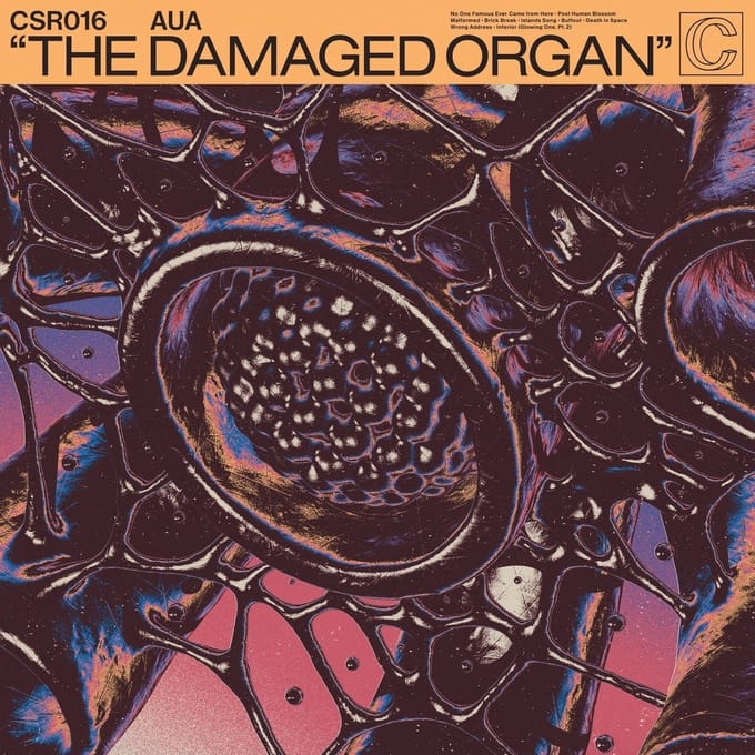 AUA - The Damaged Organ (2 LP)