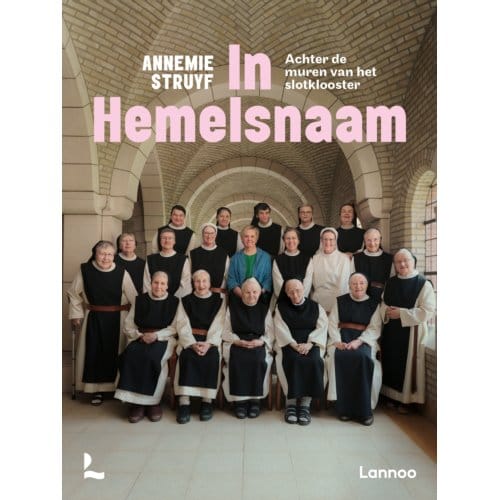 In Hemelsnaam - Annemie Struyf